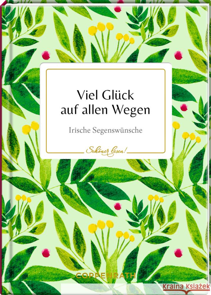 Viel Glück auf allen Wegen  9783649638247 Coppenrath, Münster - książka