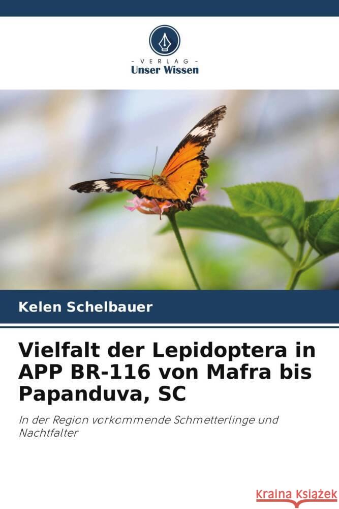 Vielfalt der Lepidoptera in APP BR-116 von Mafra bis Papanduva, SC Kelen Schelbauer 9786207279203 Verlag Unser Wissen - książka