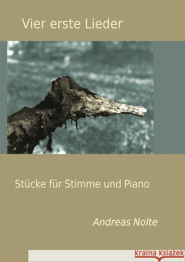 Vier erste Lieder Nolte, Andreas 9783757568702 epubli - książka