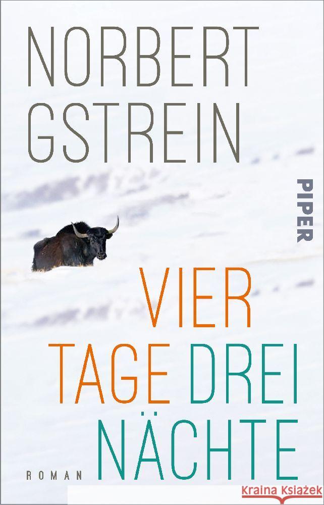 Vier Tage, drei Nächte Gstrein, Norbert 9783492319713 Piper - książka