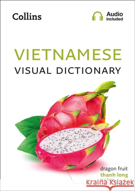 Vietnamese Visual Dictionary: A Photo Guide to Everyday Words and Phrases in Vietnamese Collins Dictionaries 9780008399665 HarperCollins Publishers - książka