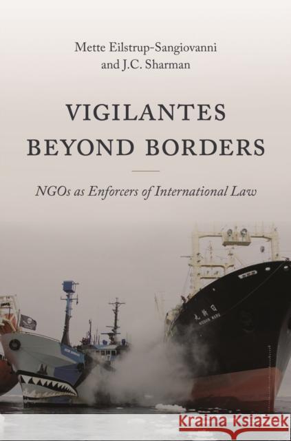 Vigilantes Beyond Borders: Ngos as Enforcers of International Law Mette Eilstrup-Sangiovanni J. C. Sharman 9780691232232 Princeton University Press - książka