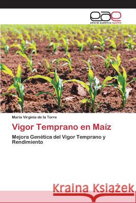 Vigor Temprano en Maíz de la Torre María Virginia 9783659096990 Editorial Academica Espanola - książka