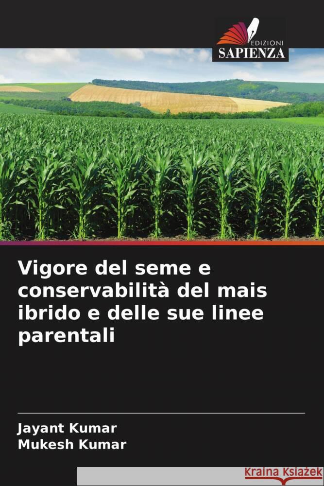 Vigore del seme e conservabilità del mais ibrido e delle sue linee parentali Kumar, Jayant, Kumar, Mukesh 9786204568164 Edizioni Sapienza - książka