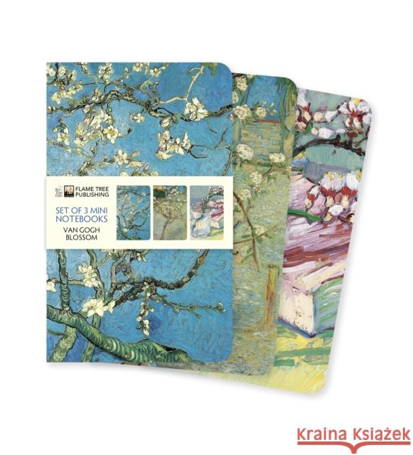 Vincent van Gogh: Blossom Set of 3 Mini Notebooks  9781839647192 Flame Tree Publishing - książka