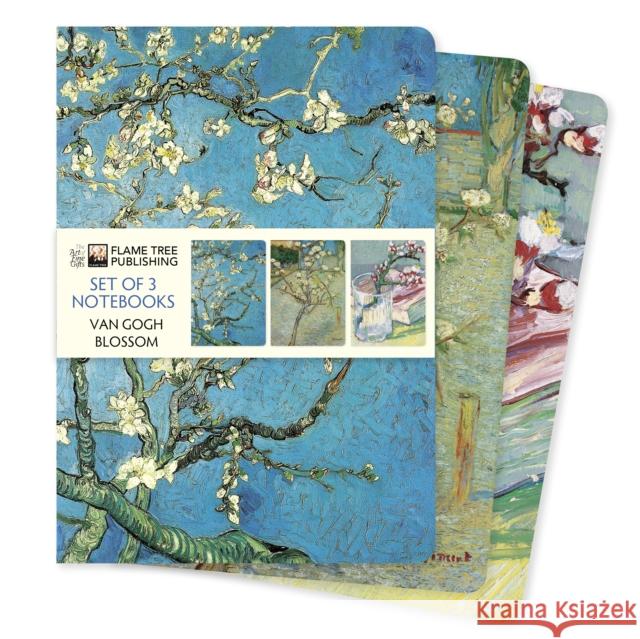 Vincent van Gogh: Blossom Set of 3 Standard Notebooks  9781804175538 Flame Tree Publishing - książka