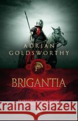 Vindolanda T.3 Brigantia Adrian Goldsworthy 9788383382111 Rebis - książka