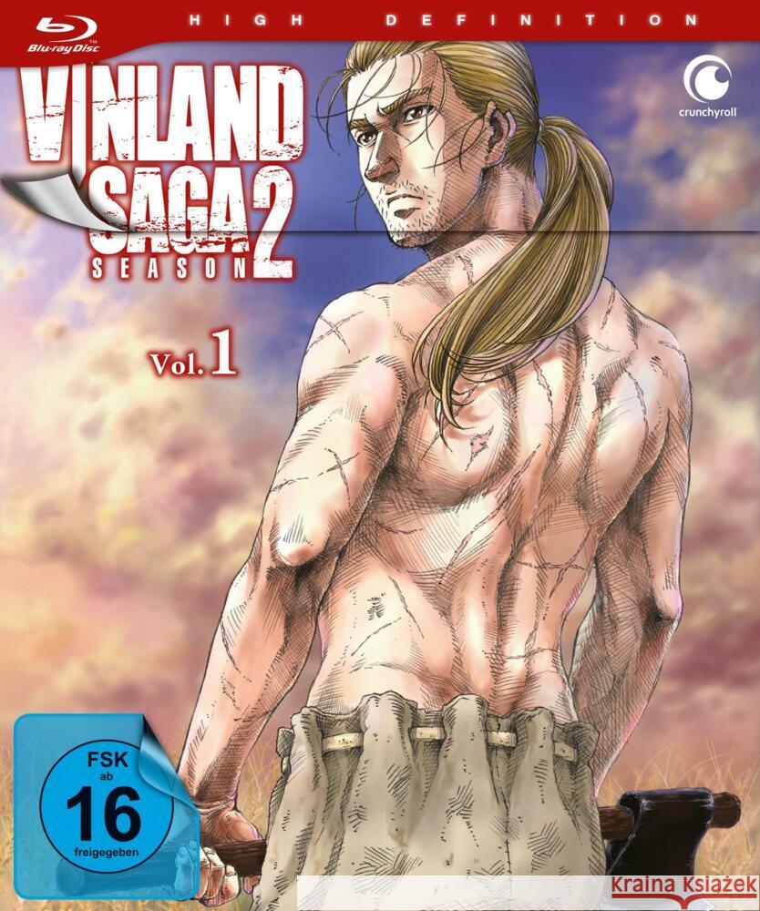 Vinland Saga. Staffel.2.1, 2 Blu-ray  7630017535092 Crunchyroll - książka