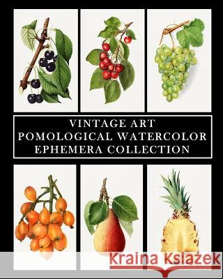 Vintage Art: Pomological Watercolor: Ephemera Collection: Botanical Fruit Prints Vintage Revisited Press 9798211635340 Blurb - książka