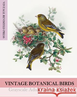 Vintage Botanical Birds: Grayscale Adult Coloring Book Vintage Revisited Press 9781006674136 Blurb - książka
