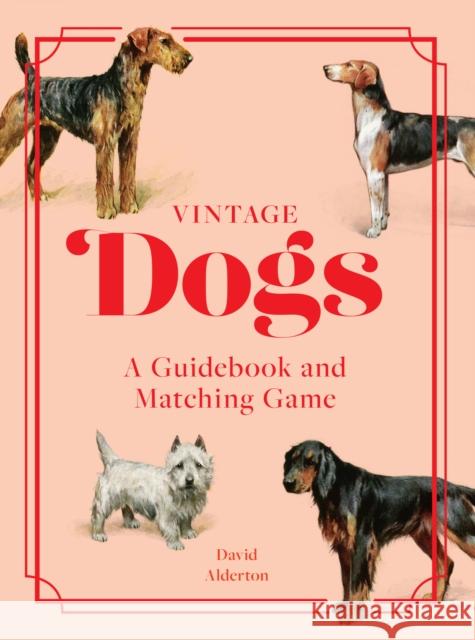 Vintage Dogs: A Guidebook and Matching Game David Alderton 9781958417829 Hardie Grant North America - książka