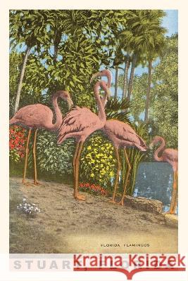 Vintage Journal Flamingos Found Image Press   9781669519508 Found Image Press - książka