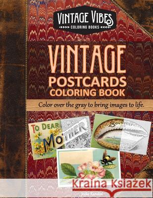 Vintage Postcards Coloring Book: Cover over the gray to bring images to life. Randisi, Jodie 9780997517231 Cowcatcher Publications - książka