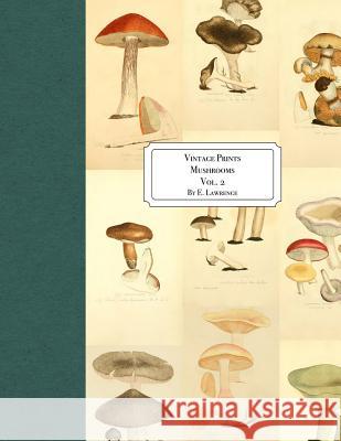 Vintage Prints: Mushrooms: Vol. 2 E. Lawrence 9781726143349 Createspace Independent Publishing Platform - książka