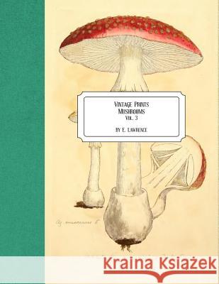 Vintage Prints: Mushrooms: Vol. 3 E. Lawrence 9781726244473 Createspace Independent Publishing Platform - książka