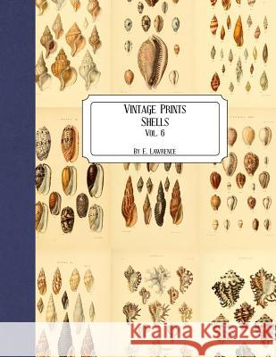 Vintage Prints: Shells: Vol. 6 E. Lawrence 9781727215663 Createspace Independent Publishing Platform - książka