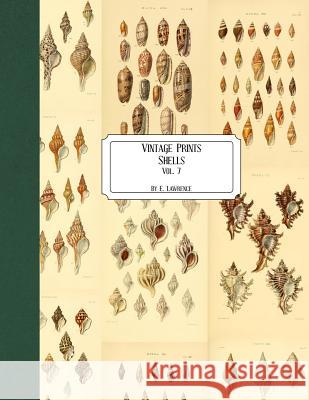 Vintage Prints: Shells: Vol. 7 E. Lawrence 9781727216141 Createspace Independent Publishing Platform - książka