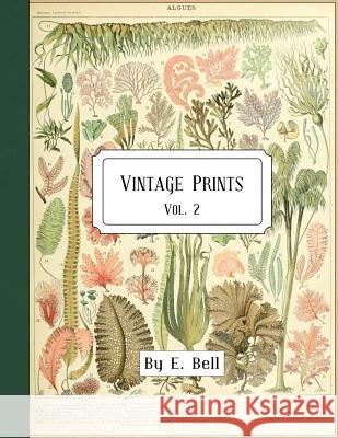 Vintage Prints: Vol. 2 E. Bell 9781986617208 Createspace Independent Publishing Platform - książka