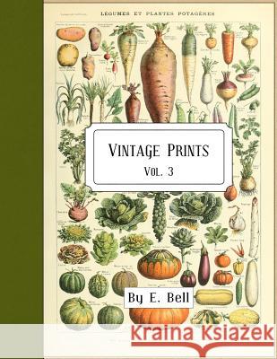 Vintage Prints: Vol. 3 E. Bell 9781986621861 Createspace Independent Publishing Platform - książka