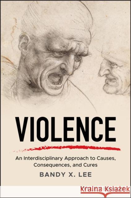 Violence: An Interdisciplinary Approach to Causes, Consequences, and Cures Lee, Bandy X. 9781119240679 Wiley-Blackwell - książka