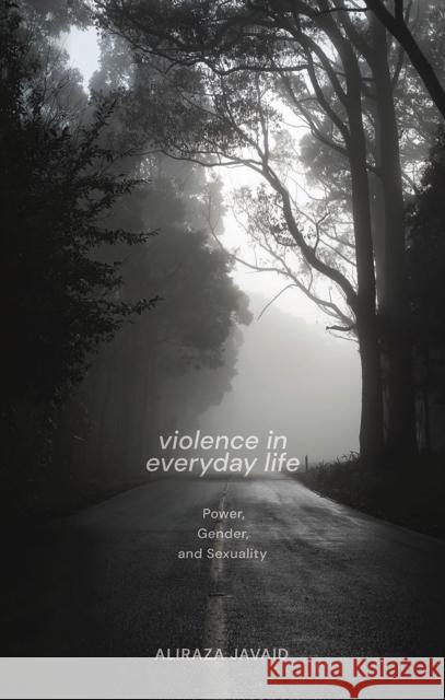 Violence in Everyday Life: Power, Gender and Sexuality Aliraza Javaid 9781786997234 Zed Books - książka