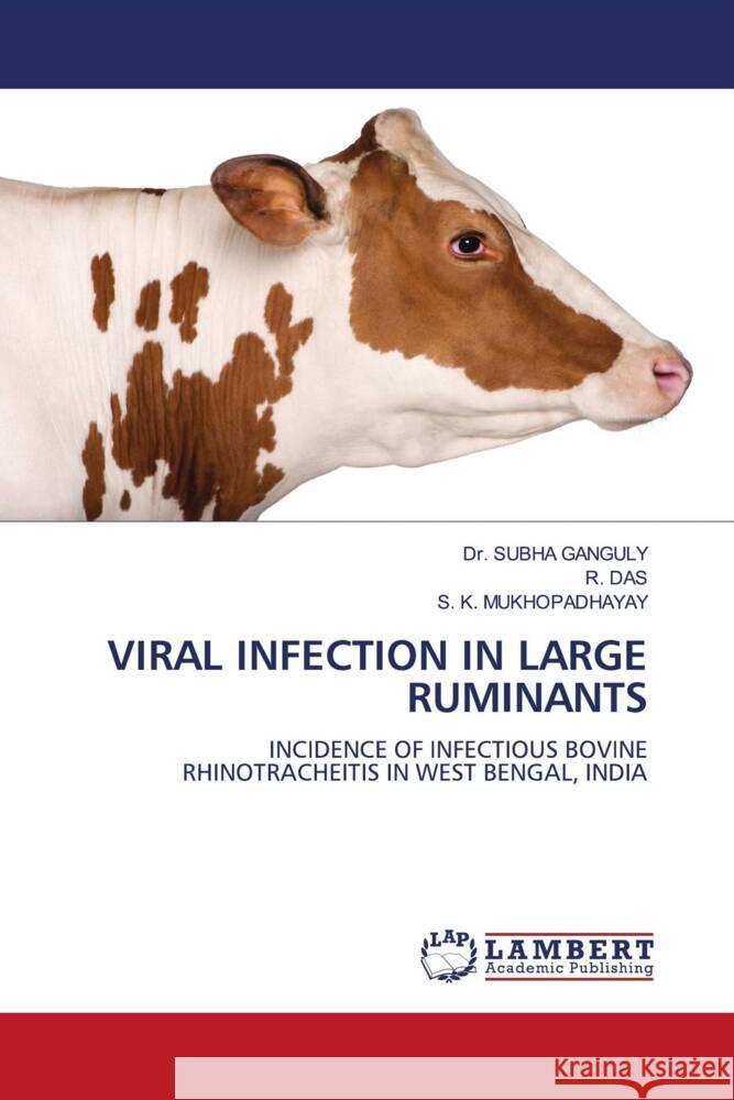 Viral Infection in Large Ruminants Dr Ganguly, R Das, S K Mukhopadhayay 9783844393989 LAP Lambert Academic Publishing - książka