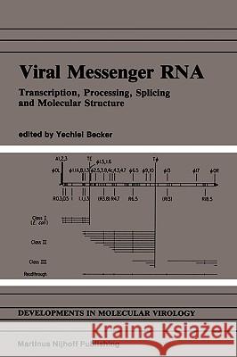 Viral Messenger RNA: Transcription, Processing, Splicing and Molecular Structure Becker, Yechiel 9780898387063 Nijhoff - książka