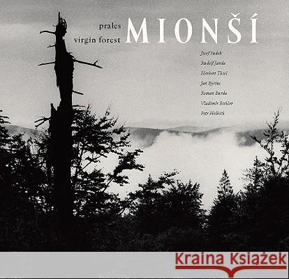 Virgin Forest Mionﬂ  9788086970912 Kant Publications - książka