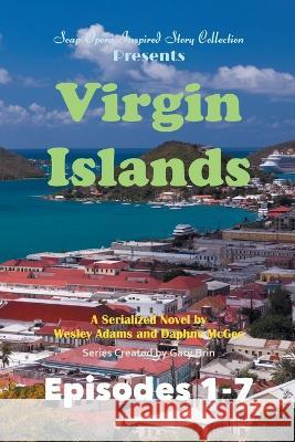 Virgin Islands Gary Brin Wesley Adams Daphne McGee 9781945510137 Standish Press - książka