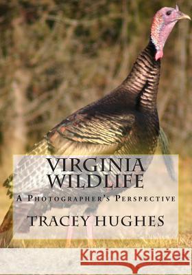 Virginia Wildlife: A Photographer's Perspective Tracey Y. Hughes 9781939535023 Deep Sea Publishing - książka