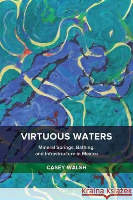 Virtuous Waters: Mineral Springs, Bathing, and Infrastructure in Mexico Walsh, Casey 9780520291737 John Wiley & Sons - książka