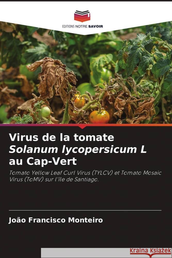 Virus de la tomate Solanum lycopersicum L au Cap-Vert Jo?o Francisco Monteiro 9786207250295 Editions Notre Savoir - książka