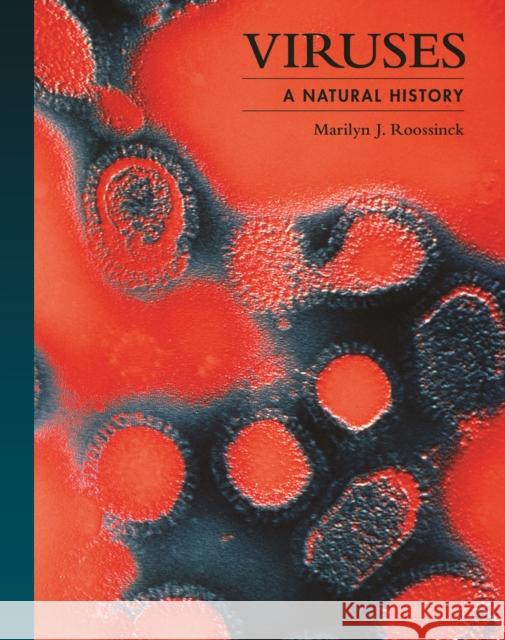 Viruses: A Natural History Dr. Marilyn J. (Professor Emeritus) Roossinck 9780691237596 Princeton University Press - książka