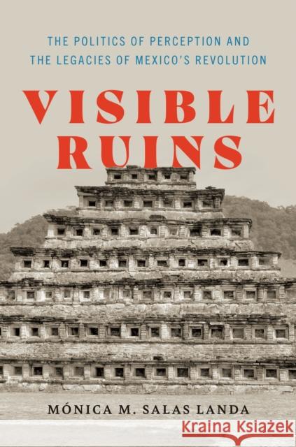 Visible Ruins: The Politics of Perception and the Legacies of Mexico's Revolution M?nica M. Sala 9781477328712 University of Texas Press - książka