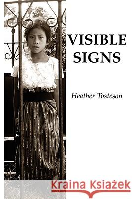 Visible Signs Heather Tosteson 9780979655203 Wising Up Press - książka