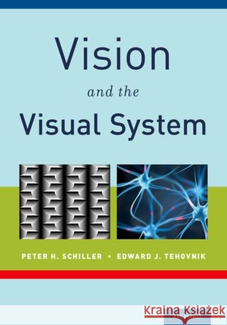 Vision and the Visual System Peter H. Schiller Edward J. Tehovnik 9780199936533 Oxford University Press, USA - książka