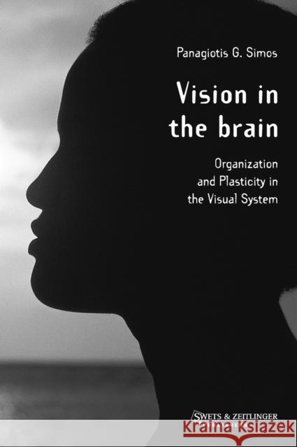 Vision in the Brain P.G. Simos 9789026518140 Taylor and Francis - książka