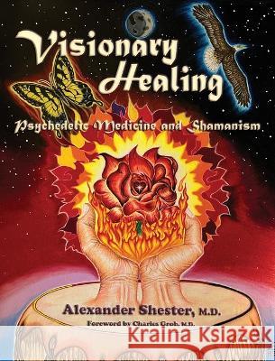 VISIONARY HEALING Psychedelic Medicine and Shamanism Alexander Shester 9781587906367 Regent Press - książka