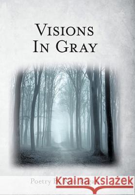 Visions in Gray Ken Regan 9781973667933 WestBow Press - książka