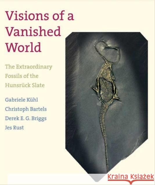 Visions of a Vanished World: The Extraordinary Fossils of the Hunsrück Slate Kühl, Gabriele 9780300184600  - książka