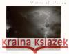Visions of Florida Woody Walters Lola Haskins 9780813012896 University Press of Florida