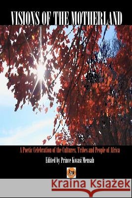 Visions of The Motherland: A Poetic Celebration of The Cultures, Tribes and People of Africa Dogbo, Elorm 9781453769324 Createspace - książka
