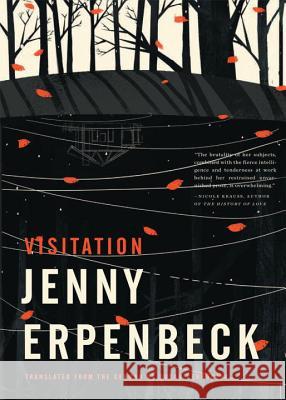 Visitation Jenny Erpenbeck Susan Bernofsky 9780811218351 New Directions Publishing Corporation - książka