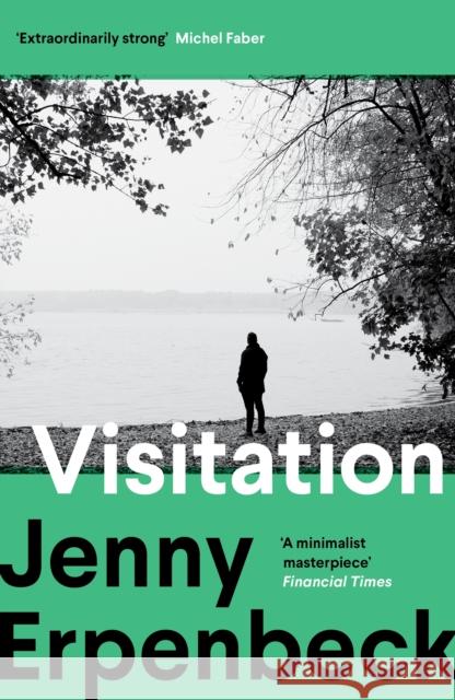 Visitation Jenny Erpenbeck 9781803512518 Granta Books - książka