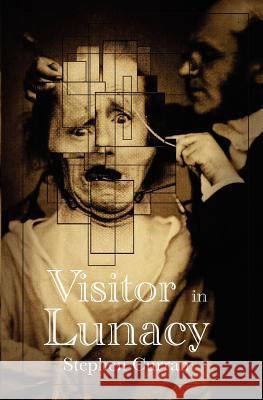 Visitor in Lunacy Stephen Curran 9781479254859 Createspace - książka