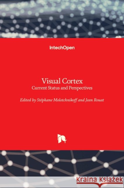 Visual Cortex: Current Status and Perspectives Stephane Molotchnikoff Jean Rouat 9789535107606 Intechopen - książka