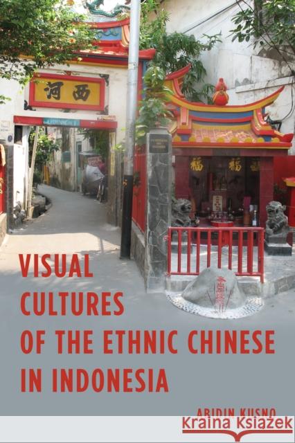 Visual Cultures of the Ethnic Chinese in Indonesia Abidin Kusno 9781783487561 Rowman & Littlefield International - książka