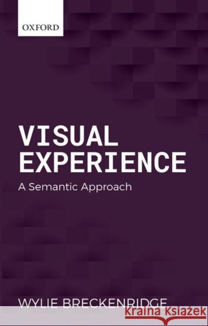 Visual Experience: A Semantic Approach Breckenridge, Wylie 9780199600465 Oxford University Press, USA - książka