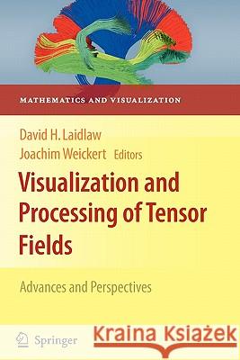 Visualization and Processing of Tensor Fields: Advances and Perspectives Laidlaw, David H. 9783642100031 Springer - książka