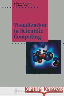 Visualization in Scientific Computing Michel Grave Yvon L W. Terry Hewitt 9783642779046 Springer - książka